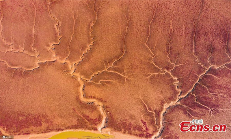 Galeria: contornos outonais pintam paisagem natural de Shandong
