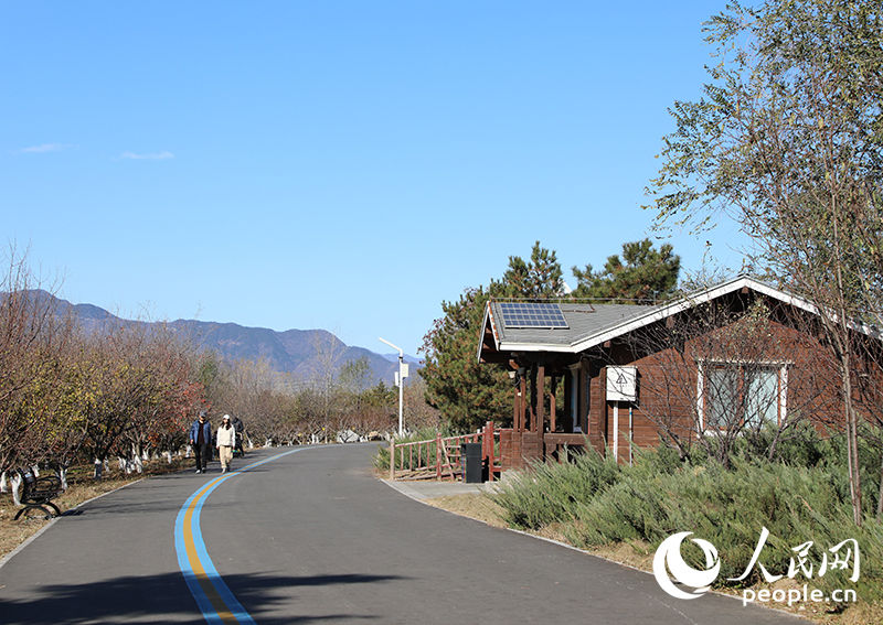 Galeria: Parque Olímpico de Inverno de Beijing