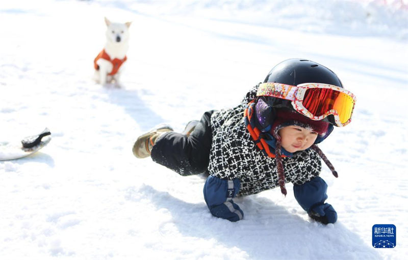Hebei: bebê de 11 meses pratica esqui no Resort Taizicheng