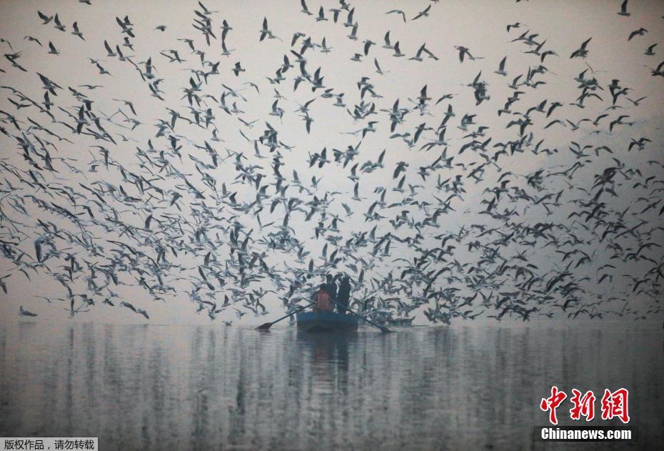 índia: qualidade de ar em Nova Deli piora