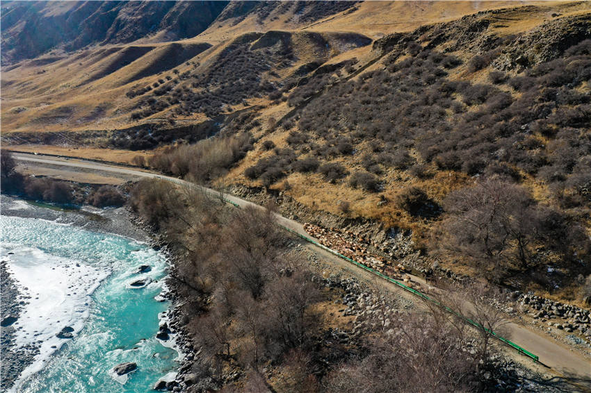 Zhaosu, Xinjiang: melhoria dos padr?es de vida facilita migra??es de pastores