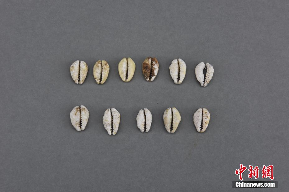 Shaanxi: jóias de ouro do estrangeiro s?o encontradas no túmulo do Reino Qin 