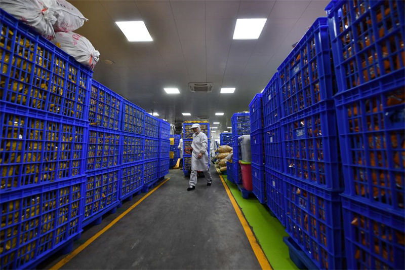 Mais de 100 milh?es de pacotes de macarr?o 