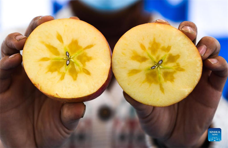 Trem lento traz conveniência para habitantes no sudoeste da China 