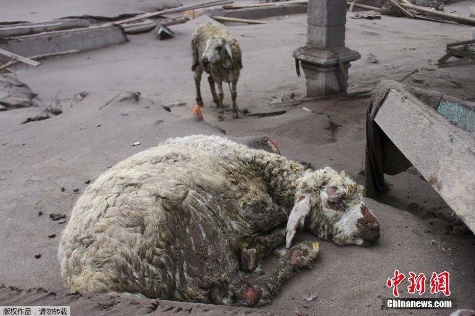 Indonésia: erup??o do vulc?o Semeru deixa dezenas de mortos e feridos