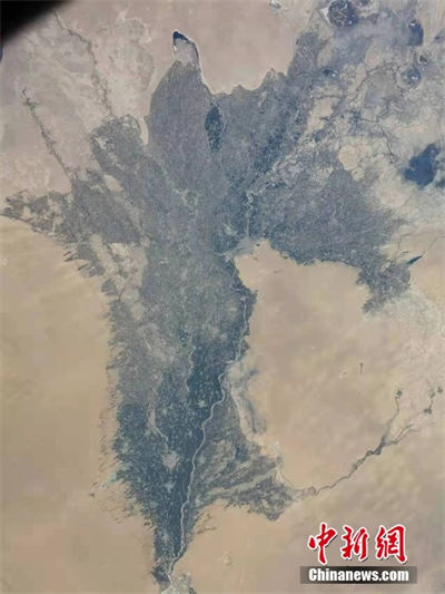 Galeria: exposi??o de fotografias do espa?o