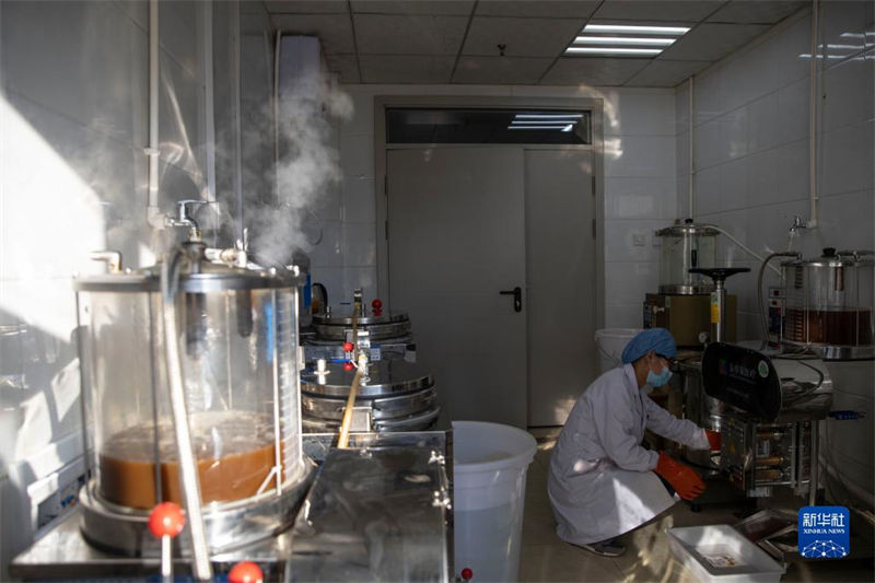 Medicina tradicional chinesa ajuda a combater pandemia de Covid-19