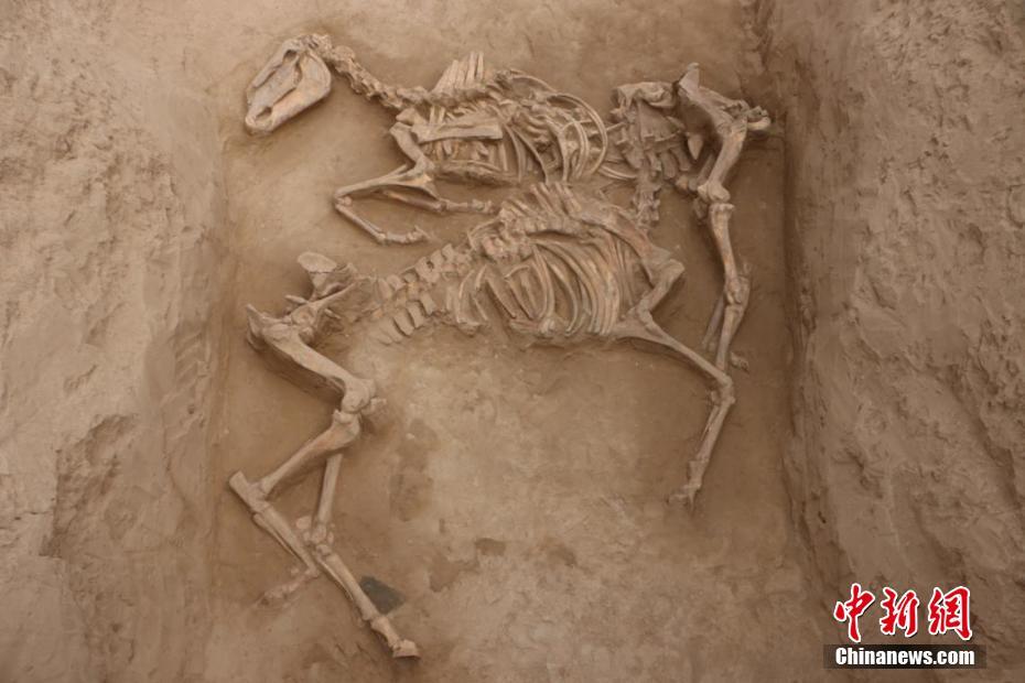 Gansu: trabalhos no complexo arqueológico da dinastia Tang com novos avan?os