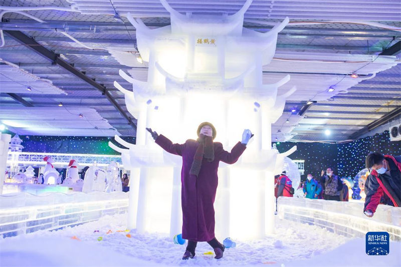 8o Festival Nacional do Gelo e da Neve é inaugurdo em Wuhan