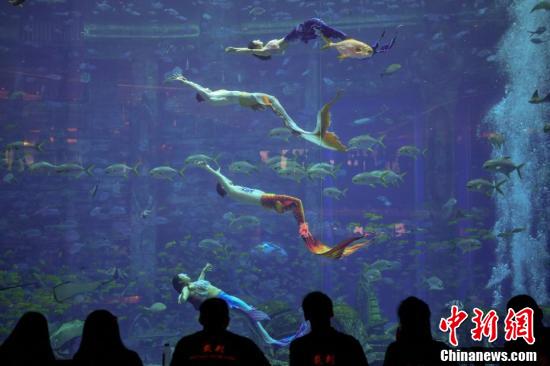 Primeira competi??o de performace de sereias chinesas come?a em Sanya