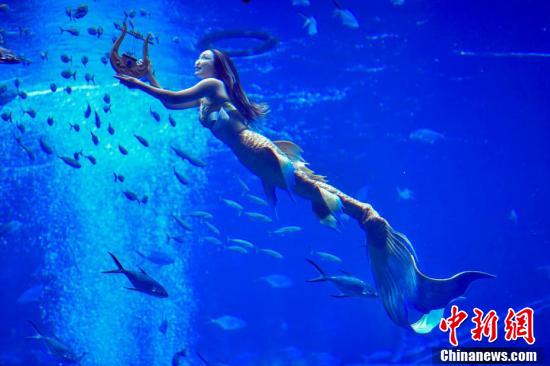 Primeira competi??o de performace de sereias chinesas come?a em Sanya