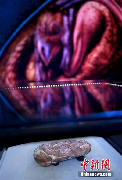 Embri?o de dinossauro mais completo foi encontrado num ovo fossilizado na China 