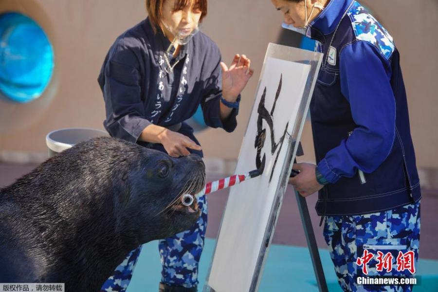 Le?o-marinho 'escreve' caracter chinês para saudar o ano novo lunar
