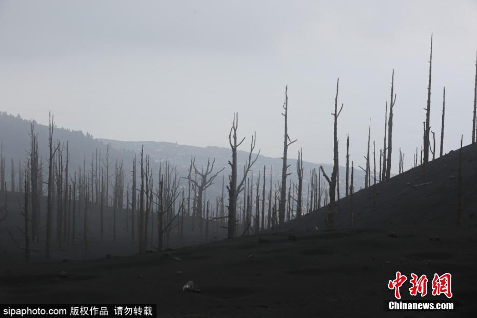 Espanha: erup??o de vulc?o em La Palma tem fim após três meses de destrui??o