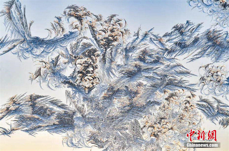 Galeria: pintura incrível de flores de gelo na janela