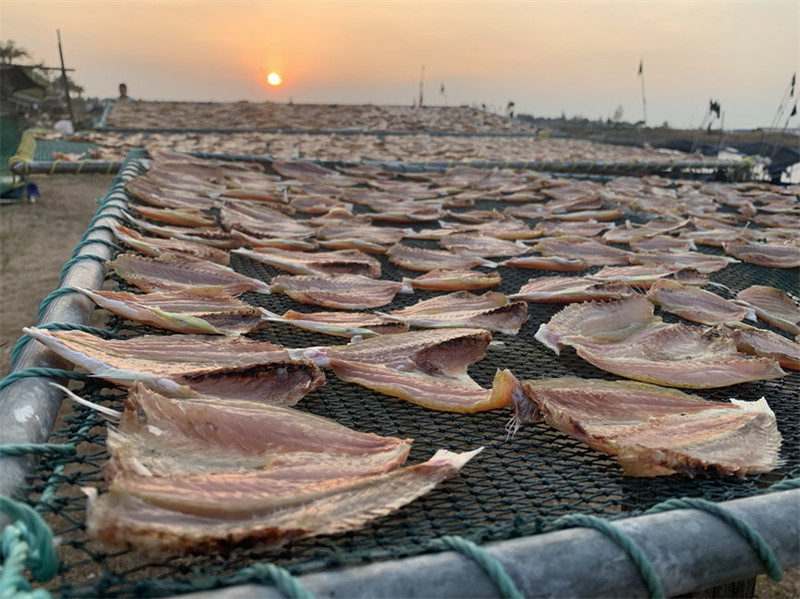 Pescadores de Hainan secam peixes ao sol do inverno  