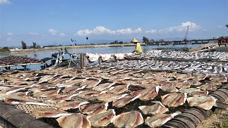 Pescadores de Hainan secam peixes ao sol do inverno  