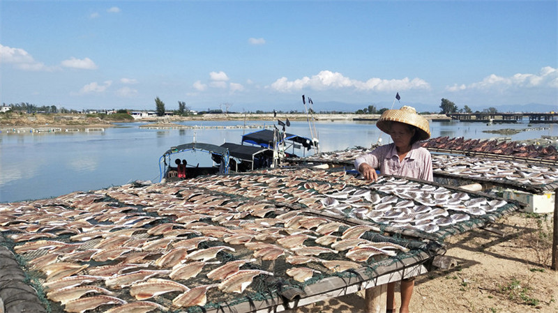 Pescadores de Hainan secam peixes ao sol do inverno  