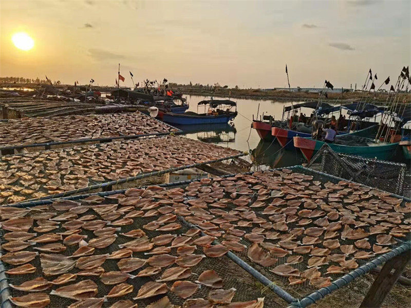 Pescadores de Hainan secam peixes ao sol do inverno  