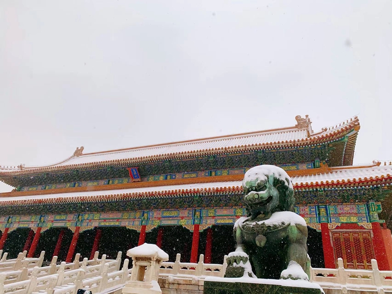 Beijing recebe a primeira neve do ano do tigre