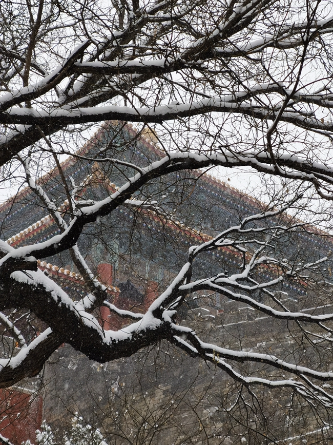 Beijing recebe a primeira neve do ano do tigre
