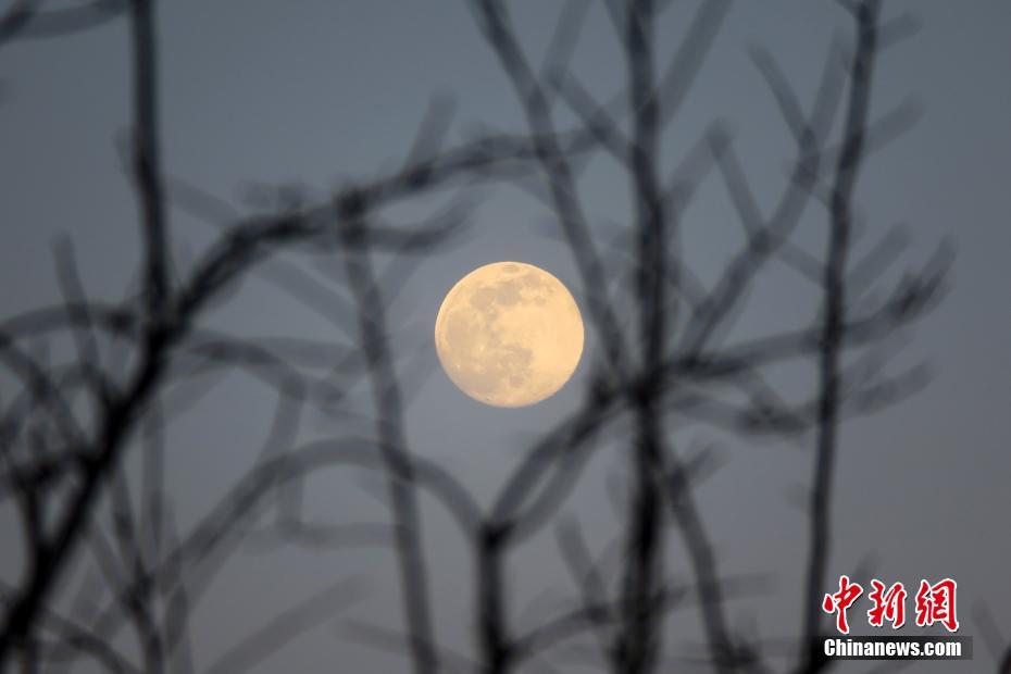 Galeria: Festival das Lanternas brindado pela lua cheia