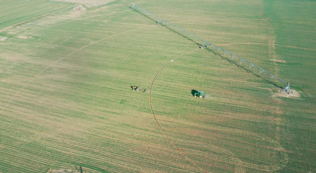 Plantio da primavera avan?a a bom ritmo na China