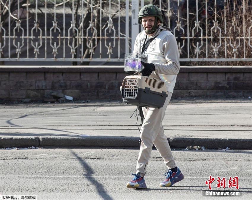 Ucrania: popula??es evacuam com seus animais de estima??o 