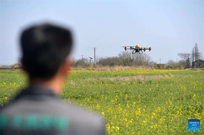 Programa de agricultura inteligente melhora a eficiência da produ??o agrícola em Jiangxi
