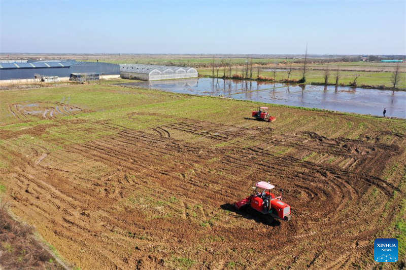 Programa de agricultura inteligente melhora a eficiência da produ??o agrícola em Jiangxi