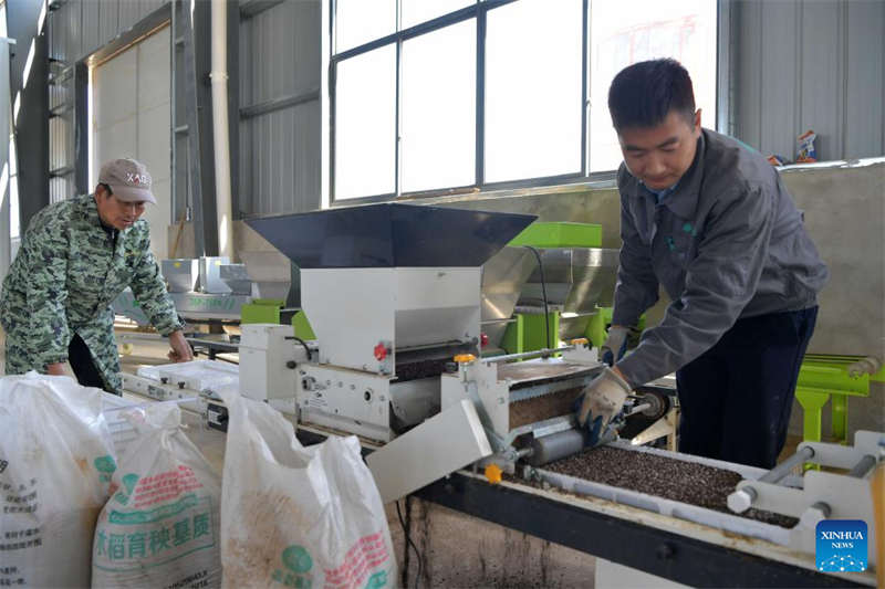 Programa de agricultura inteligente melhora a eficiência da produ??o agrícola em Jiangxi