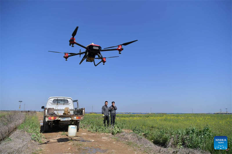 Programa de agricultura inteligente melhora a eficiência da produ??o agrícola em Jiangxi