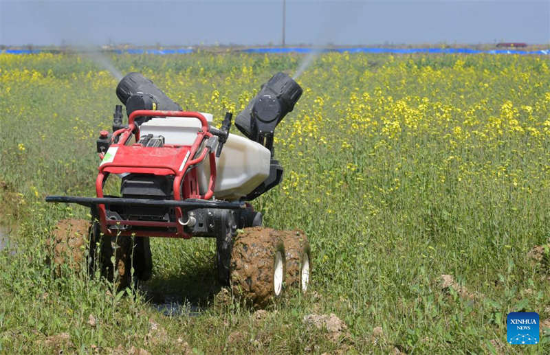 Programa de agricultura inteligente melhora a eficiência da produ??o agrícola em Jiangxi
