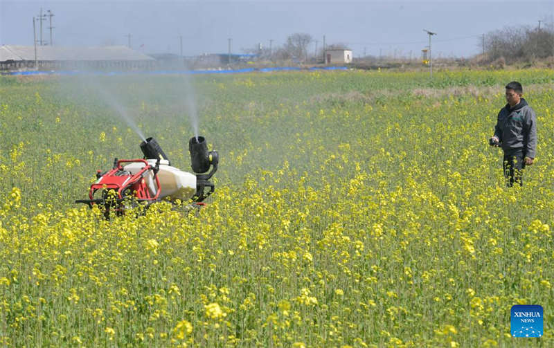 Programa de agricultura inteligente melhora a eficiência da produ??o agrícola em Jiangxi