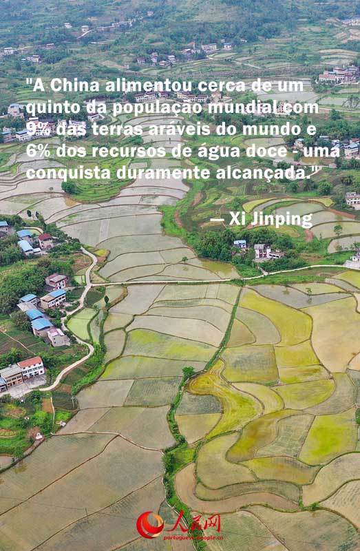 Presidente Xi Jinping enfatiza seguran?a alimentar nas Duas Sess?es