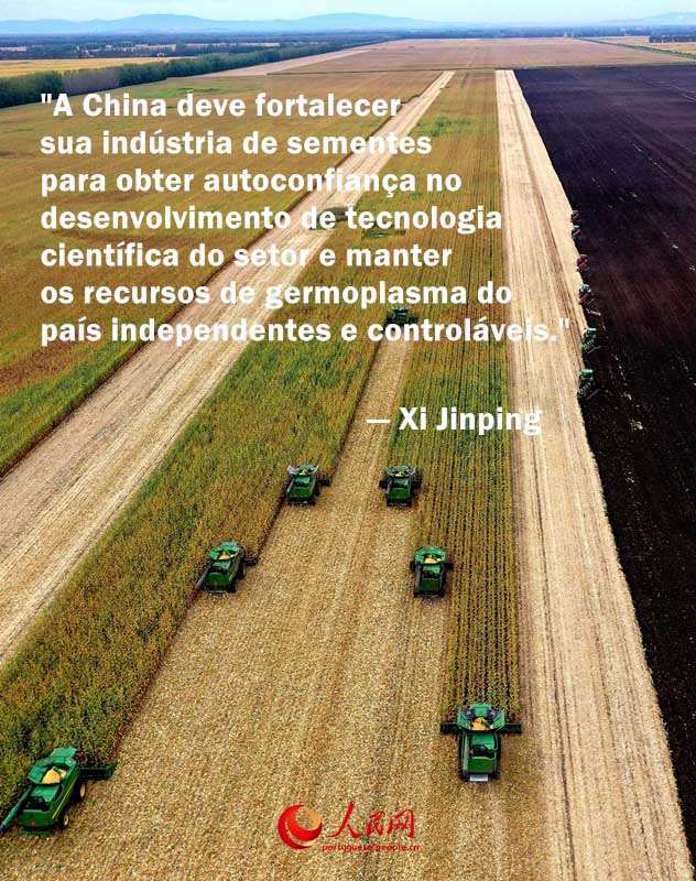 Presidente Xi Jinping enfatiza seguran?a alimentar nas Duas Sess?es