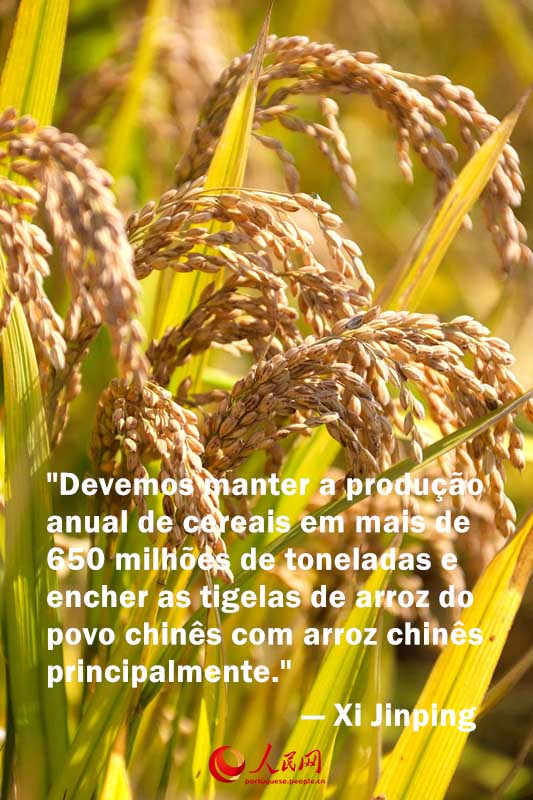 Presidente Xi Jinping enfatiza seguran?a alimentar nas Duas Sess?es