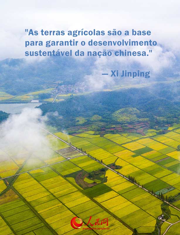 Presidente Xi Jinping enfatiza seguran?a alimentar nas Duas Sess?es