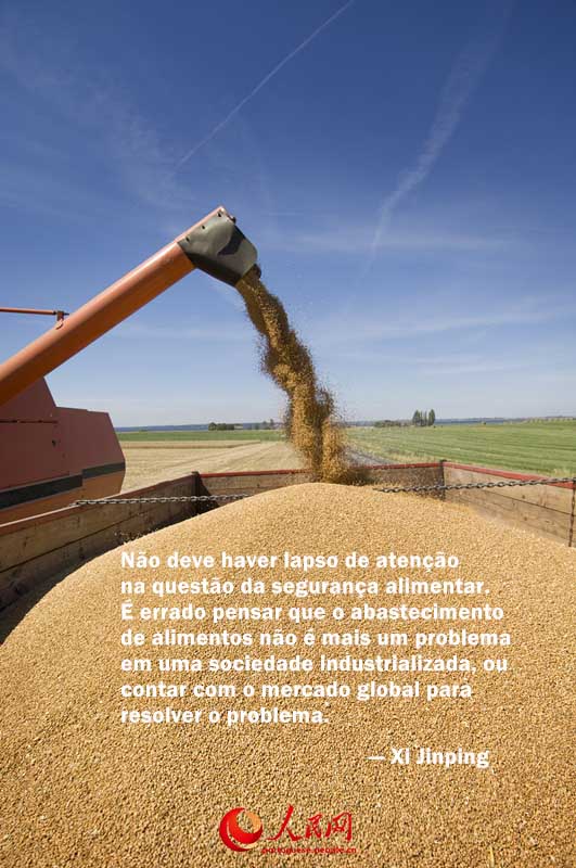 Presidente Xi Jinping enfatiza seguran?a alimentar nas Duas Sess?es