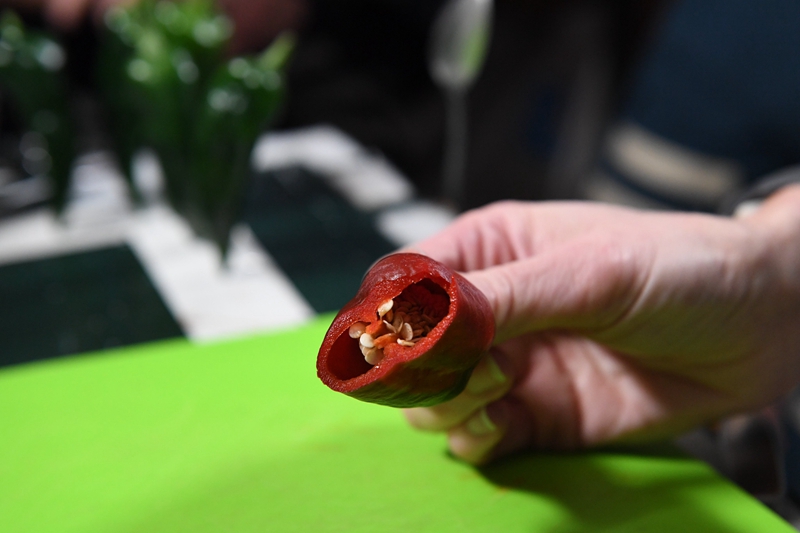 Experiência de planta??o de pimenta na Esta??o Espacial Internacional é um sucesso