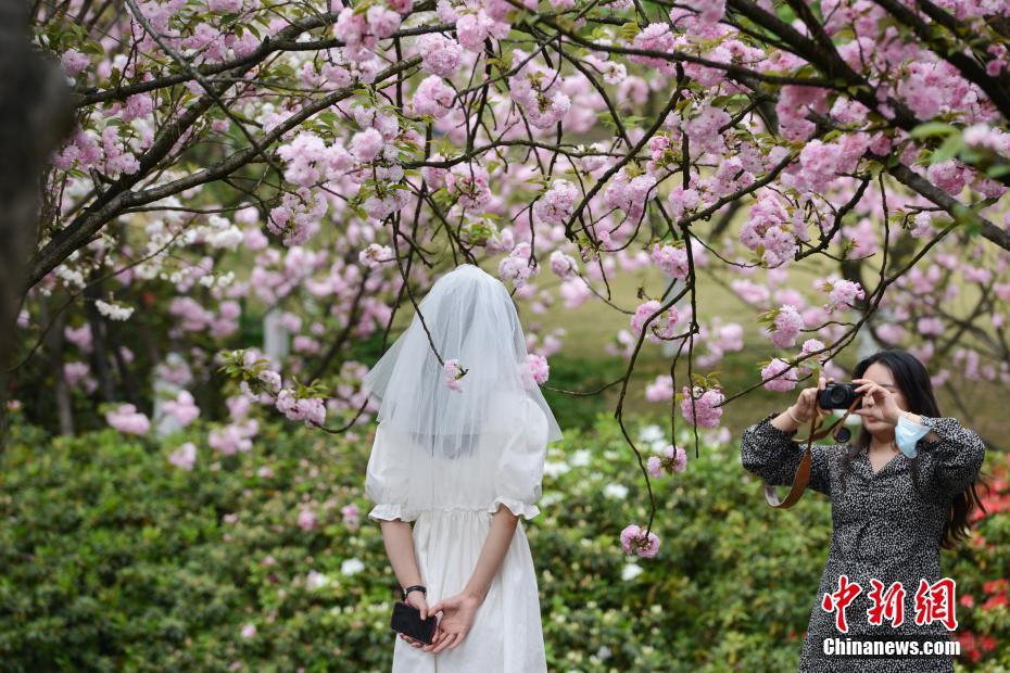 Galeria: hora de apreciar as flores e ver as belas paisagens