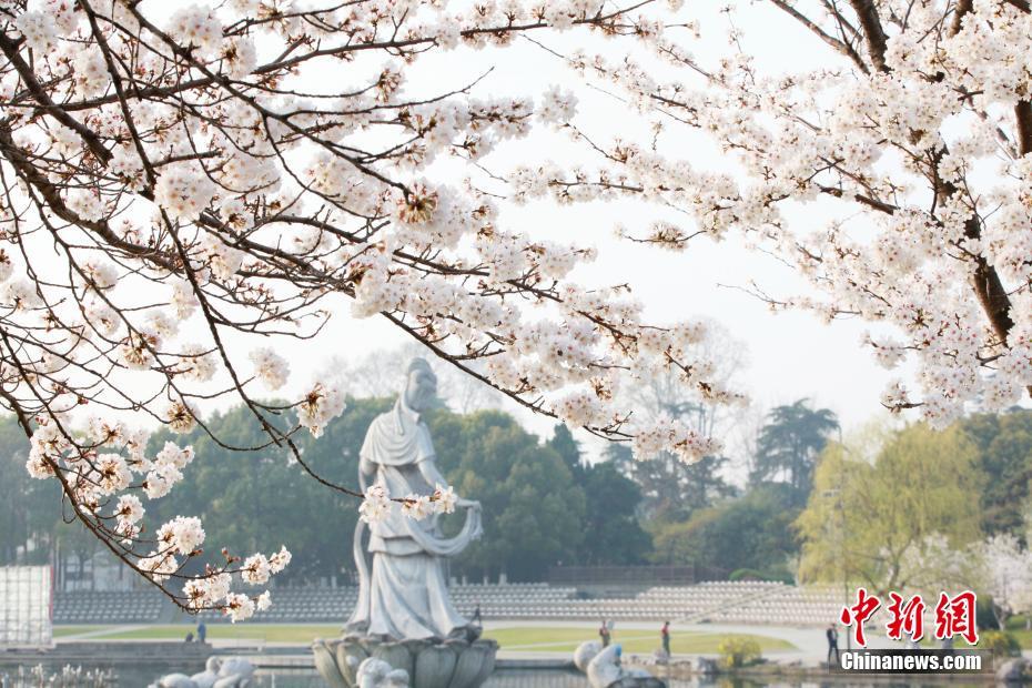 Galeria: hora de apreciar as flores e ver as belas paisagens