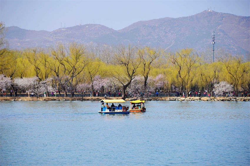 Galeria: flores desabrocham no Palácio de Ver?o