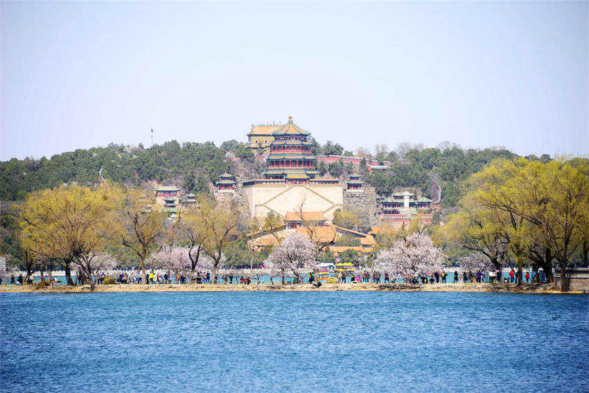 Galeria: flores desabrocham no Palácio de Ver?o