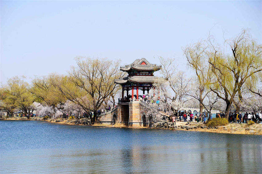 Galeria: flores desabrocham no Palácio de Ver?o