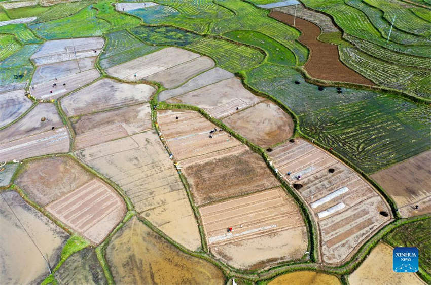 Galeria: lavoura primaveril em curso na China