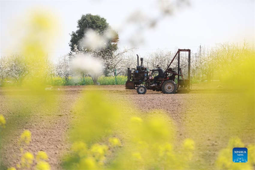 Galeria: lavoura primaveril em curso na China