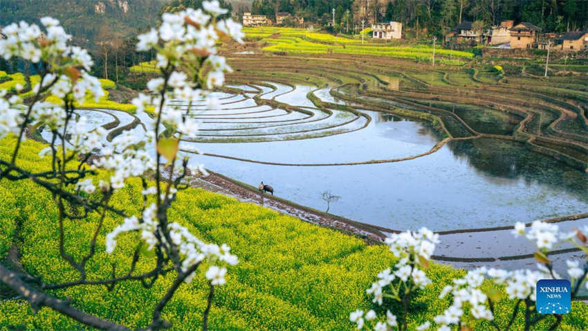 Galeria: lavoura primaveril em curso na China