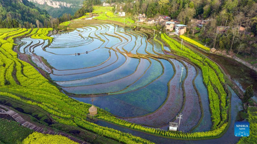 Galeria: lavoura primaveril em curso na China