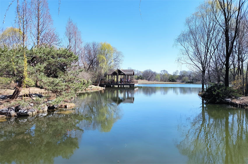 Parques de Beijing recebem cerca de 5 milh?es de visitantes durante Festival de Qingming